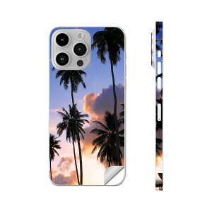 iPhone14 iPhone15 p XLV[ SʃXLV[ t w  XebJ[ یV[ iphone14plus iphone14pro iphone14promax iphone15plus iphone15pro iphone15promax eΉ V̖؁@@ʐ^@010821