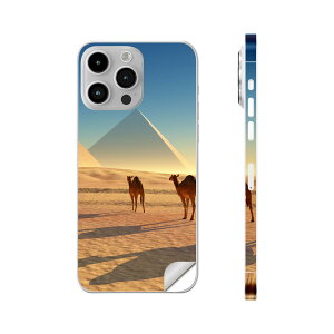 iPhone14 iPhone15 p XLV[ SʃXLV[ t w  XebJ[ یV[ iphone14plus iphone14pro iphone14promax iphone15plus iphone15pro iphone15promax eΉ 炭@@s~bh@01093