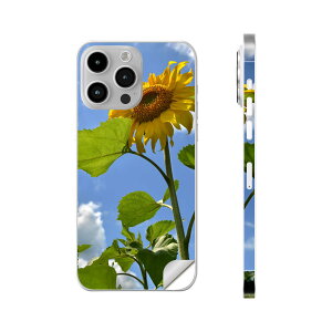 iPhone14 iPhone15 p XLV[ SʃXLV[ t w  XebJ[ یV[ iphone14plus iphone14pro iphone14promax iphone15plus iphone15pro iphone15promax eΉ ԁ@Ђ܂@ʐ^@011366