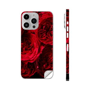 iPhone14 iPhone15 p XLV[ SʃXLV[ t w  XebJ[ یV[ iphone14plus iphone14pro iphone14promax iphone15plus iphone15pro iphone15promax eΉ o@ԁ@ԁ@012764