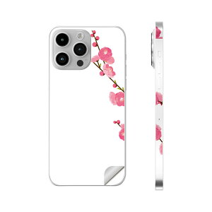 iPhone14 iPhone15 p XLV[ SʃXLV[ t w  XebJ[ یV[ iphone14plus iphone14pro iphone14promax iphone15plus iphone15pro iphone15promax eΉ ЂȍՂ@̉ԁ@ߋ@012863