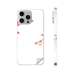 iPhone14 iPhone15 p XLV[ SʃXLV[ t w  XebJ[ یV[ iphone14plus iphone14pro iphone14promax iphone15plus iphone15pro iphone15promax eΉ ~@ԁ@؁@012985