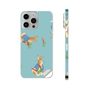 iPhone14 iPhone15 p XLV[ SʃXLV[ t w  XebJ[ یV[ iphone14plus iphone14pro iphone14promax iphone15plus iphone15pro iphone15promax eΉ @ɂ񂶂@rbg@01