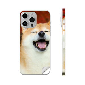 iPhone14 iPhone15 p XLV[ SʃXLV[ t w  XebJ[ یV[ iphone14plus iphone14pro iphone14promax iphone15plus iphone15pro iphone15promax eΉ @킢@Č@015611