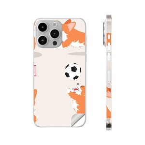 iPhone14 iPhone15 p XLV[ SʃXLV[ t w  XebJ[ یV[ iphone14plus iphone14pro iphone14promax iphone15plus iphone15pro iphone15promax eΉ @TbJ[@@016256