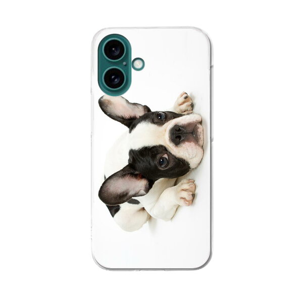 iPhone16plus 6.7インチ 専用 各キャリア iPhone 16 plus 共通対応 ハード ケース  iphone16plus  ケース カバー  000889 犬　フレンチブルドック