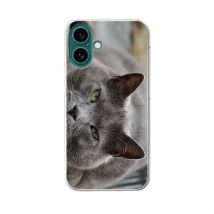 yzn[hP[X قڑS@Ή X}z Jo[ P[X X}zP[X |J[{l[g n[h gуP[X softbank au docomo 002650 L@@ʐ^