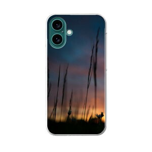 iPhone16plus 6.7�C���` ��p �e�L�����A iPhone 16 plus ���ʑΉ� �n�[�h �P�[�X iphone16plus �P�[�X �J�o�[ 025684 ���i�@���R�@��