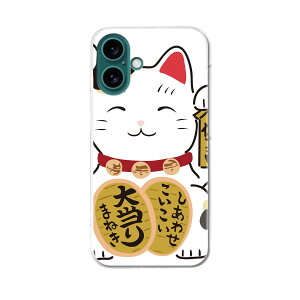 iPhone16plus 6.7C` p eLA iPhone 16 plus ʑΉ n[h P[X iphone16plus P[X Jo[ 032096 L CXg 킢