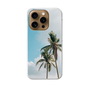 iPhone16pro 6.3�C���` ��p �e�L�����A iPhone 16 pro ���ʑΉ� �n�[�h �P�[�X iphone16pro �Ή� �P�[�X �J�o�[ 023646 ���V�̖؁@�ā@��