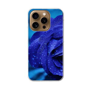 iPhone16pro 6.3C` p eLA iPhone 16 pro ʑΉ n[h P[X iphone16pro Ή P[X Jo[ 023736 ԁ@t[@o