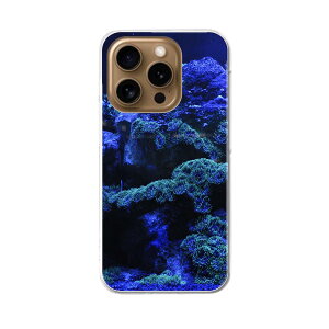 iPhone16pro 6.3�C���` ��p �e�L�����A iPhone 16 pro ���ʑΉ� �n�[�h �P�[�X iphone16pro �Ή� �P�[�X �J�o�[ 025632 �C�@�����@���R