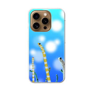 iPhone16pro 6.3C` p eLA iPhone 16 pro ʑΉ n[h P[X iphone16pro Ή P[X Jo[ 025640 `AiS@C@