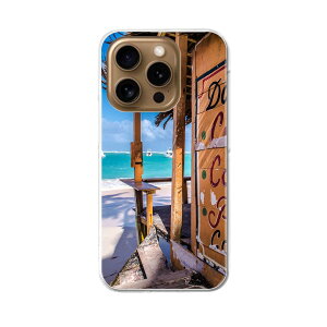 iPhone16pro 6.3C` p eLA iPhone 16 pro ʑΉ n[h P[X iphone16pro Ή P[X Jo[ 025641 C@r[`@gsJ