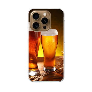 iPhone16pro 6.3C` p eLA iPhone 16 pro ʑΉ n[h P[X iphone16pro Ή P[X Jo[ 025672 r[@ʐ^@