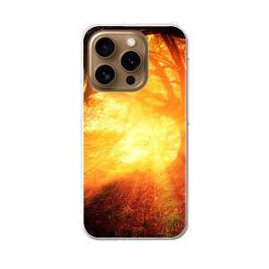 iPhone16pro 6.3C` p eLA iPhone 16 pro ʑΉ n[h P[X iphone16pro Ή P[X Jo[ 025677 R@X@[@