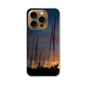 iPhone16pro 6.3C` p eLA iPhone 16 pro ʑΉ n[h P[X iphone16pro Ή P[X Jo[ 025684 i@R@