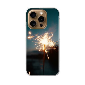 iPhone16pro 6.3C` p eLA iPhone 16 pro ʑΉ n[h P[X iphone16pro Ή P[X Jo[ 033777 ԉ