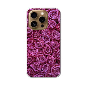 iPhone16pro 6.3C` p eLA iPhone 16 pro ʑΉ n[h P[X iphone16pro Ή P[X Jo[ 005129 KN@@ʐ^