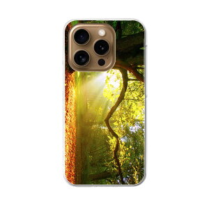 iPhone16pro 6.3C` p eLA iPhone 16 pro ʑΉ n[h P[X iphone16pro Ή P[X Jo[ 014991 iF@R@i@ʐ^@؁@