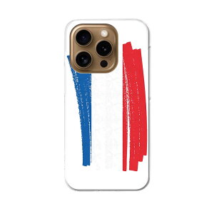 iPhone16pro 6.3インチ 専用 各キャリア iPhone 16 pro 共通対応 ハード ケース iphone16pro 対応 ケース カバー 018519 netherlands オランダ