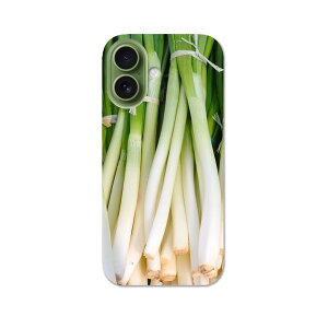 iPhone17 �p �X�}�z�J�o�[ �e�L�����A ���ʑΉ� �P�[�X �J�o�[ �n�[�h�P�[�X 025602 ��؁@�l�M�@�ʐ^