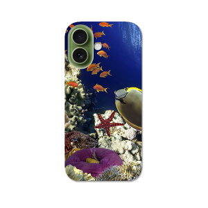 iPhone17 p X}zJo[ eLA ʑΉ P[X Jo[ n[hP[X 011673 C@@X