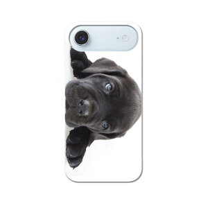 iPhone Air p X}zJo[ eLA ʑΉ P[X Jo[ n[hP[X 000127   t`uhbN _bNXtg