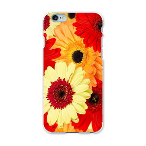 iphone6plus iPhone6s plus �A�C�t�H�[�� APPLE softbank �\�t�g�o���N �X�}�z �J�o�[ �P�[�X �X�}�z�P�[�X �X�}�z�J�o�[ PC �n�[�h�P�[�X �ԁ@�K�[�x�� �t�����[ 000990