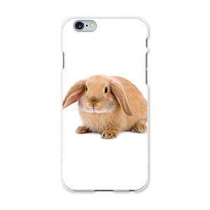 iphone6plus iPhone6s plus �A�C�t�H�[�� APPLE softbank �\�t�g�o���N �X�}�z �J�o�[ �P�[�X �X�}�z�P�[�X �X�}�z�J�o�[ PC �n�[�h�P�[�X �������@���� �A�j�}�� 001112