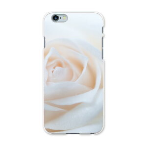 iphone6plus iPhone6s plus �A�C�t�H�[�� APPLE softbank �\�t�g�o���N �X�}�z �J�o�[ �P�[�X �X�}�z�P�[�X �X�}�z�J�o�[ PC �n�[�h�P�[�X ���@�K�N�@�ʐ^ �t�����[ �ʐ^�E���i 005080