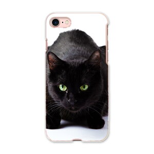 iphone8 iphone 8 �A�C�t�H�[�� softbank �\�t�g�o���N �X�}�z �J�o�[ �X�}�z�P�[�X �X�}�z�J�o�[ PC �n�[�h�P�[�X 005958 �ʐ^�@�����@�˂��@�L