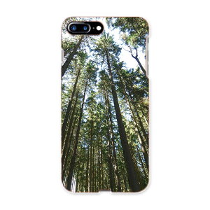 iphone8plus iphone 8 plus �A�C�t�H�[�� softbank �\�t�g�o���N �X�}�z �J�o�[ �X�}�z�P�[�X �X�}�z�J�o�[ TPU �\�t�g�P�[�X 002581 �i�F�@���i�@�ʐ^