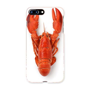 iphone8plus iphone 8 plus ACtH[ softbank \tgoN X}z Jo[ X}zP[X X}zJo[ TPU \tgP[X 006638 UKj@