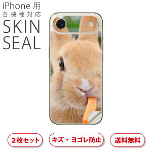 iPhone p fUCXLV[ Ή 2 Jo[ fR[V ANZT[ fRV[ iĔV[g 002807 @@ʐ^