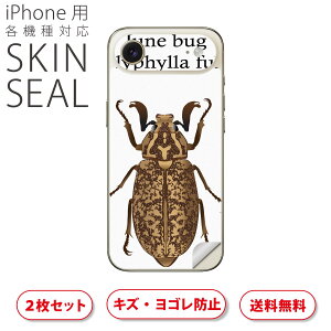 iPhone �p �f�U�C���X�L���V�[�� �Ή� 2������ �J�o�[ �f�R���[�V���� �A�N�Z�T���[ �f�R�V�[�� ���i���Ĕ������V�[�g 020014 �� polyphylla fullo �q�Q�R�K�l