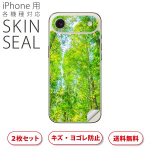 iPhone p fUCXLV[ Ή 2 Jo[ fR[V ANZT[ fRV[ iĔV[g 033844 | a