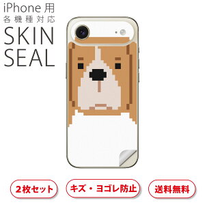 iPhone p fUCXLV[ Ή 2 Jo[ fR[V ANZT[ fRV[ iĔV[g 034699 Aj}  킢