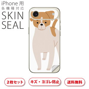 iPhone p fUCXLV[ Ή 2 Jo[ fR[V ANZT[ fRV[ iĔV[g 034708 Aj}  킢