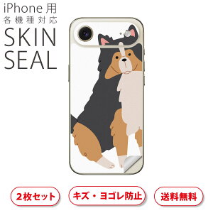 iPhone p fUCXLV[ Ή 2 Jo[ fR[V ANZT[ fRV[ iĔV[g 034720 Aj}  킢