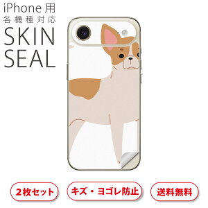 iPhone p fUCXLV[ Ή 2 Jo[ fR[V ANZT[ fRV[ iĔV[g 034721 Aj}  킢