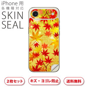 iPhone p fUCXLV[ Ή 2 Jo[ fR[V ANZT[ fRV[ iĔV[g 005455 a@a@gt