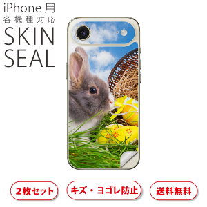 iPhone p fUCXLV[ Ή 2 Jo[ fR[V ANZT[ fRV[ iĔV[g 006581 ʐ^@@