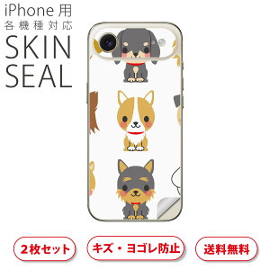 iPhone p fUCXLV[ Ή 2 Jo[ fR[V ANZT[ fRV[ iĔV[g 007882 @ʁ@CXg@Č@v[h