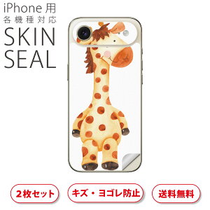 iPhone p fUCXLV[ Ή 2 Jo[ fR[V ANZT[ fRV[ iĔV[g 017512 L@@菑