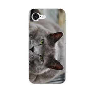 iPhone 16e �p �e�L�����A ���ʑΉ� �n�[�h�P�[�X �P�[�X �J�o�[ �n�[�h�P�[�X 002650 �L�@�����@�ʐ^