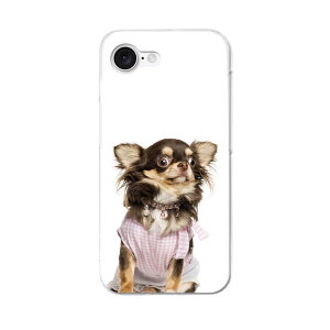 iPhone 16e �p �e�L�����A ���ʑΉ� �n�[�h�P�[�X �P�[�X �J�o�[ �n�[�h�P�[�X 002884 ���@�����@�ʐ^