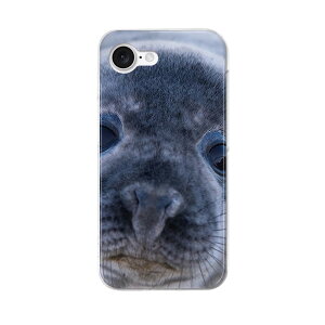 iPhone 16e �p �e�L�����A ���ʑΉ� �n�[�h�P�[�X �P�[�X �J�o�[ �n�[�h�P�[�X 023781 �����炵�@����