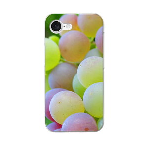 iPhone 16e �p �e�L�����A ���ʑΉ� �n�[�h�P�[�X �P�[�X �J�o�[ �n�[�h�P�[�X 025823 �t���[�c�@�Ԃǂ��@�ʕ�