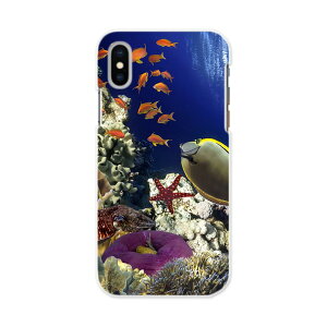 iphone XsMax iPhone 10sMax ACtH[ GbNXGX}bNX eGX}bNX iphonexsmax softbank docomo au X}z Jo[ X}zP[X X}zJo[ PC n[hP[X 011673 C@@X